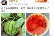 娱乐圈可以吃瓜,揭秘明星幕后故事，一起吃瓜！